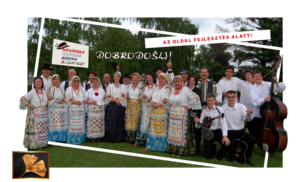 Hrvatska Izvorna Groupa Budapest