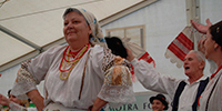Velika 12