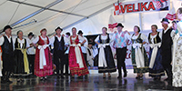 Velika 8