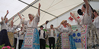 Sokac táncok 5